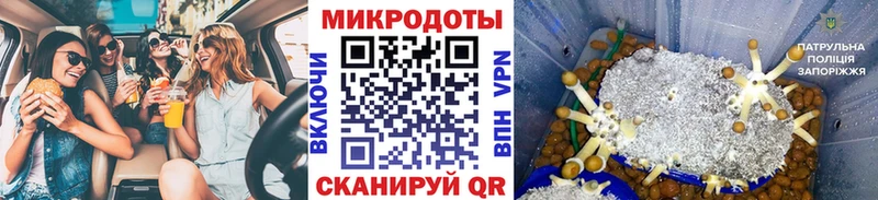 мега сайт  купить   Яхрома  Псилоцибиновые грибы MAGIC MUSHROOMS 